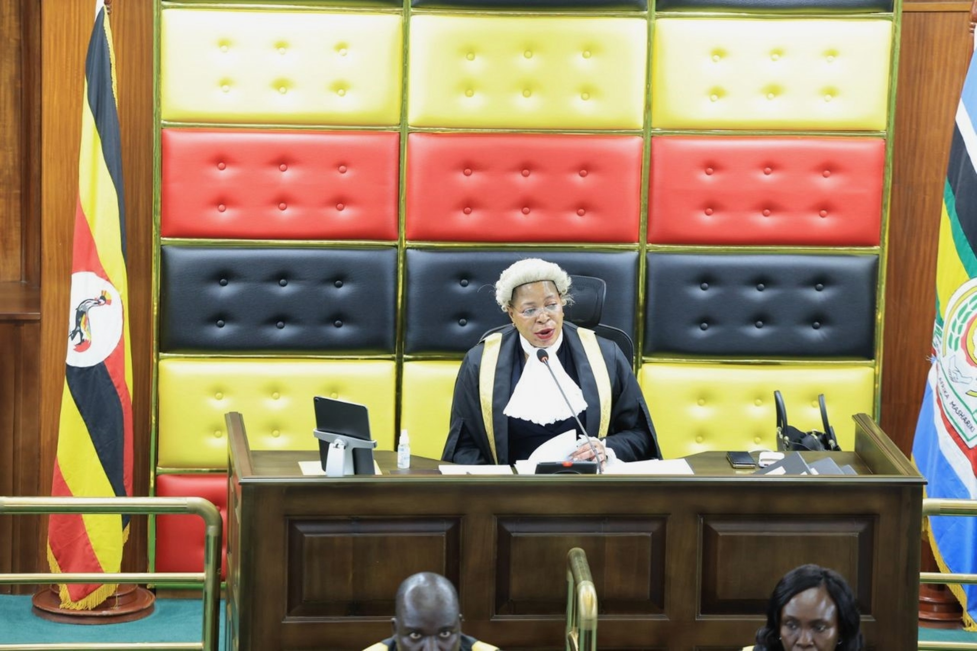 House irked by flaws in National Voter Registration Exercise